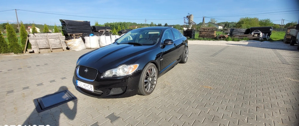 Jaguar XF cena 40000 przebieg: 151000, rok produkcji 2010 z Biecz małe 301